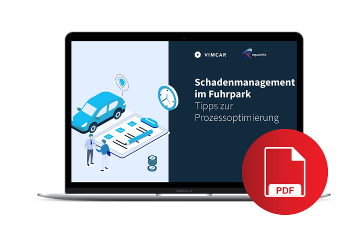 eBook Schadenmanagement