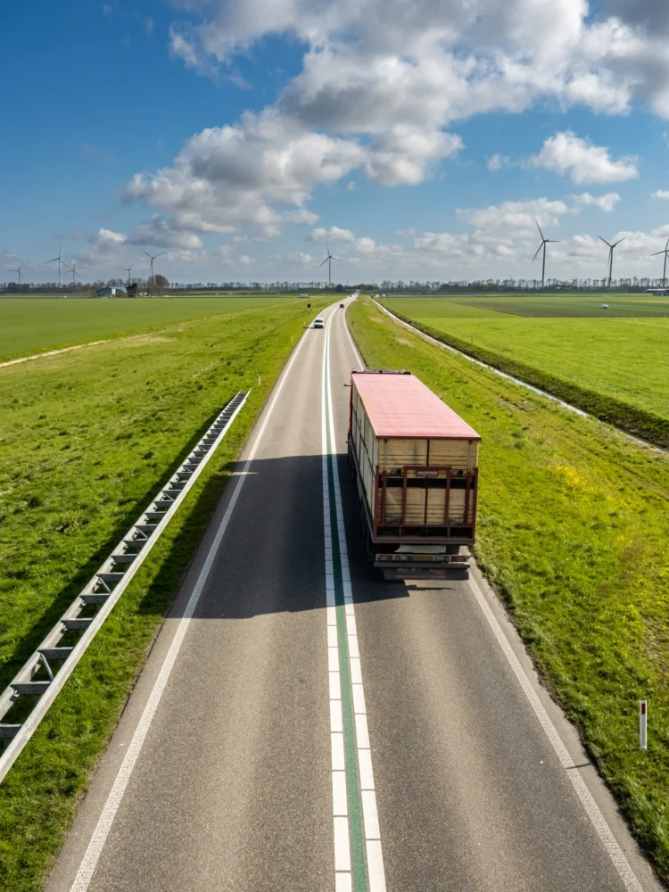 Lkw-Maut fährt im grünen